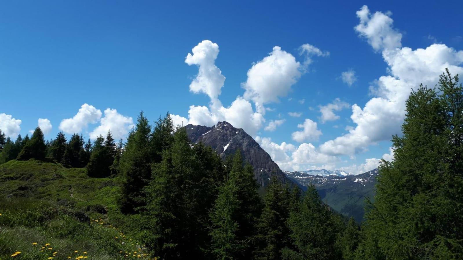 Ferienhaus Willms Am Gaisberg Kirchberg in Tirol Dış mekan fotoğraf