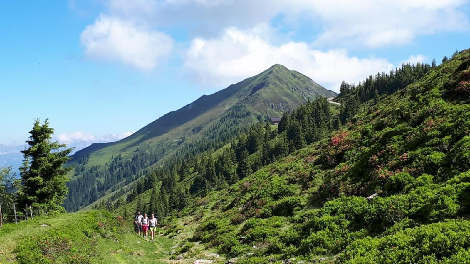 Ferienhaus Willms Am Gaisberg Kirchberg in Tirol Dış mekan fotoğraf